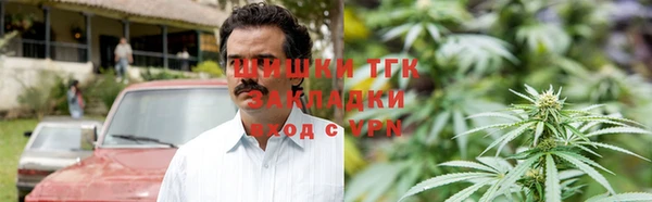 дурь Алексин