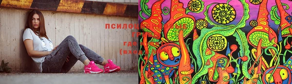прущий лед Алзамай