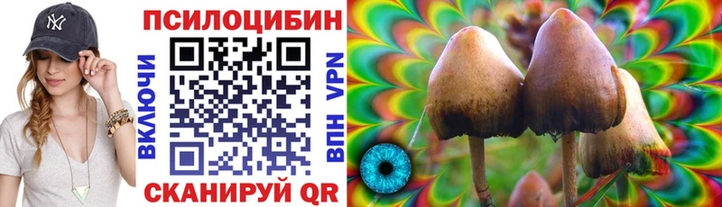 купить наркотики цена  ОМГ ОМГ   Псилоцибиновые грибы мицелий  Павлово 