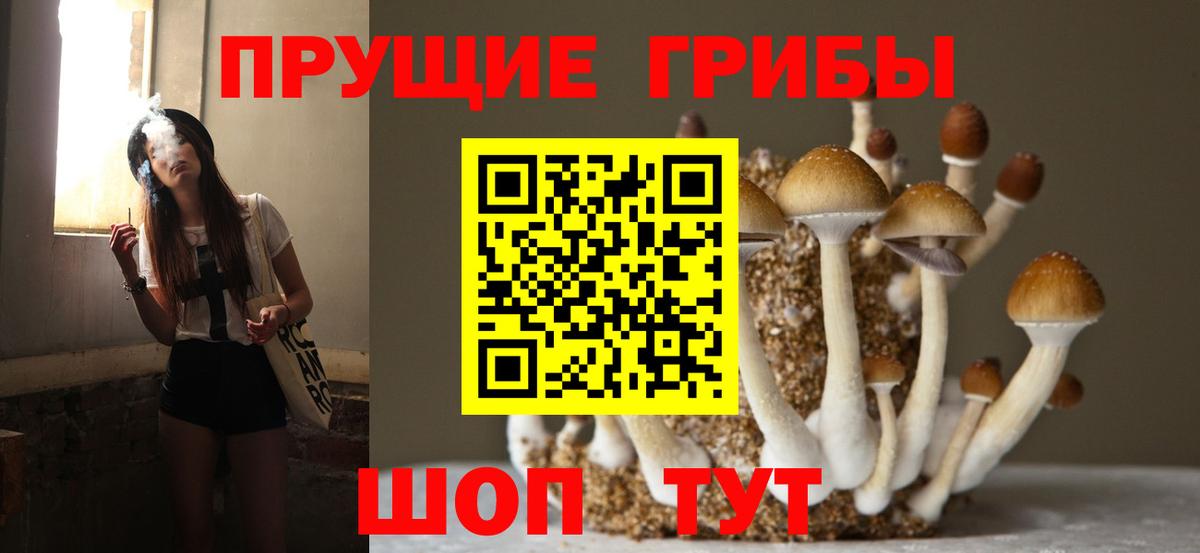 Псилоцибиновые грибы мицелий  цены наркотик  Павлово  Вход с VPN 
